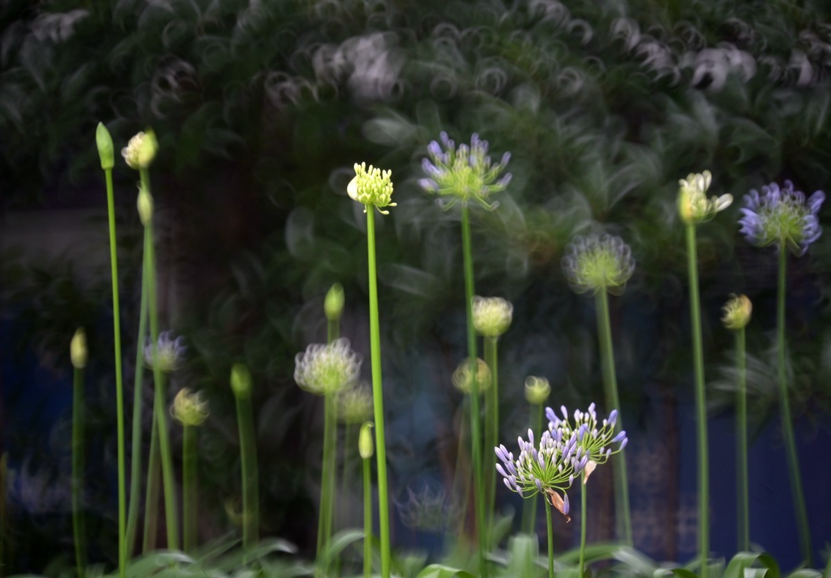 城市光影碎片之二十三