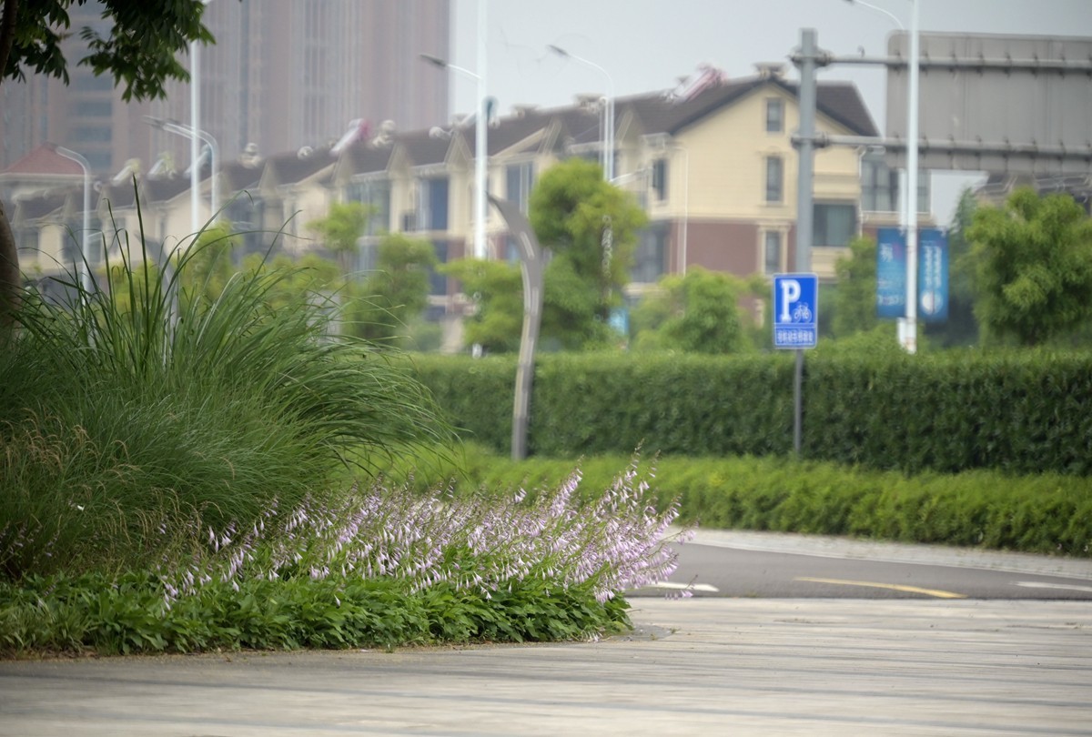 城市光影碎片之二十三