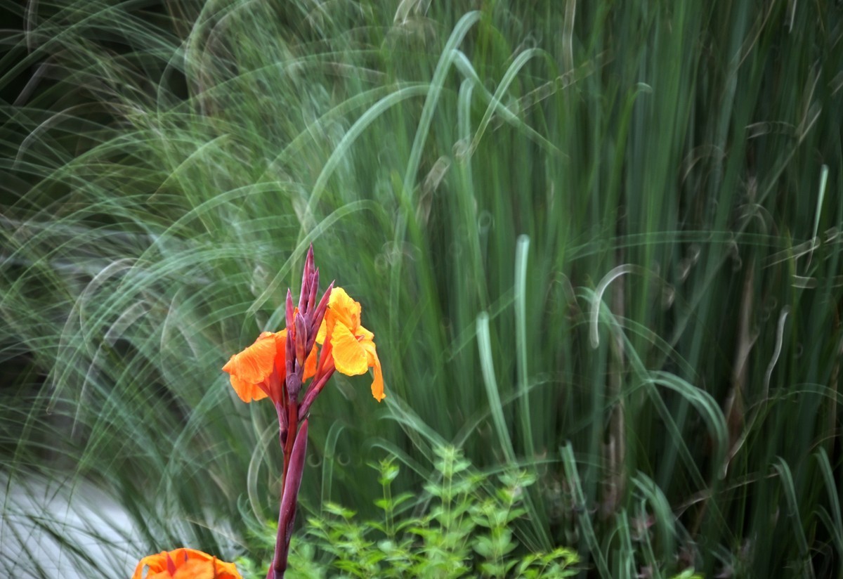 城市光影碎片之二十三