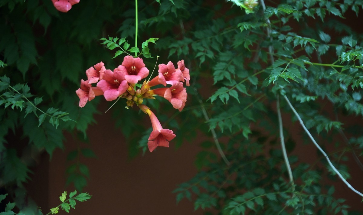 城市光影碎片之二十三