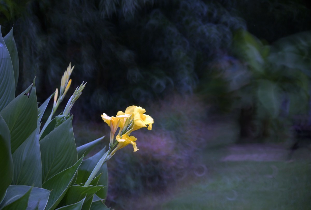 城市光影碎片之二十三