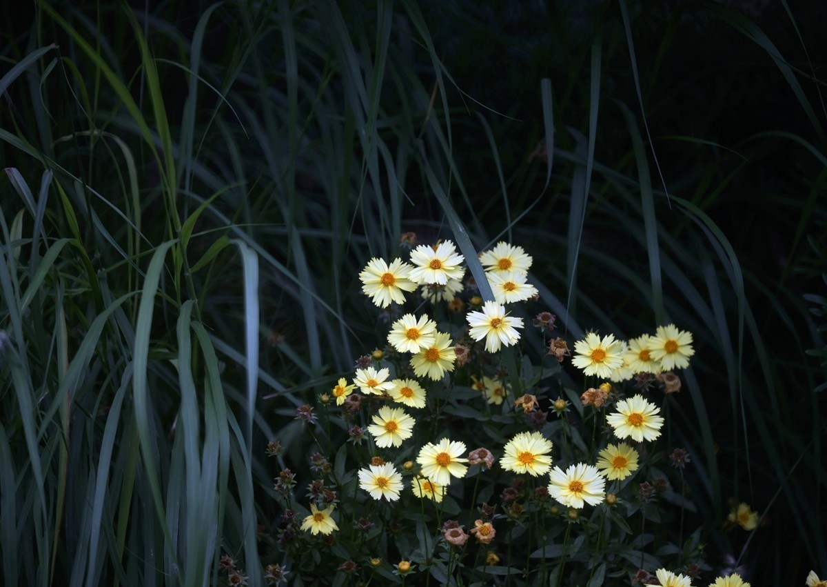 城市光影碎片之二十三