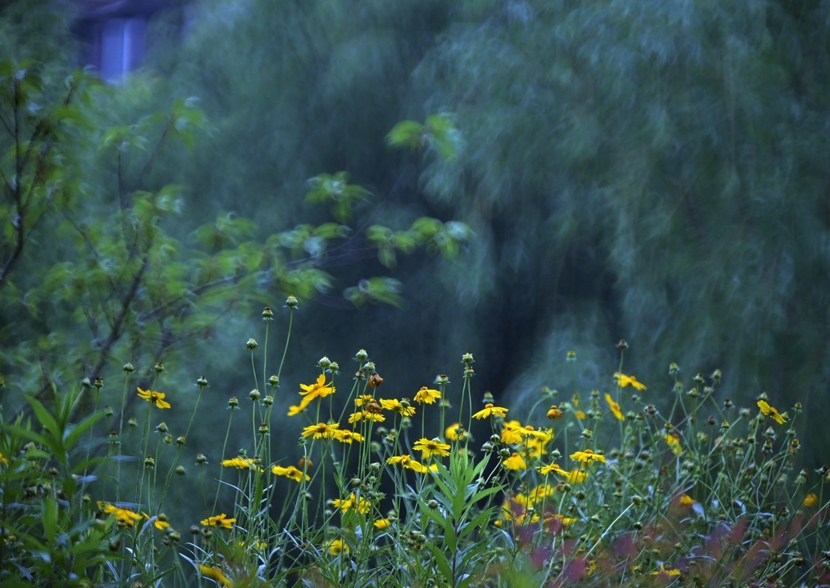 城市光影碎片之二十三