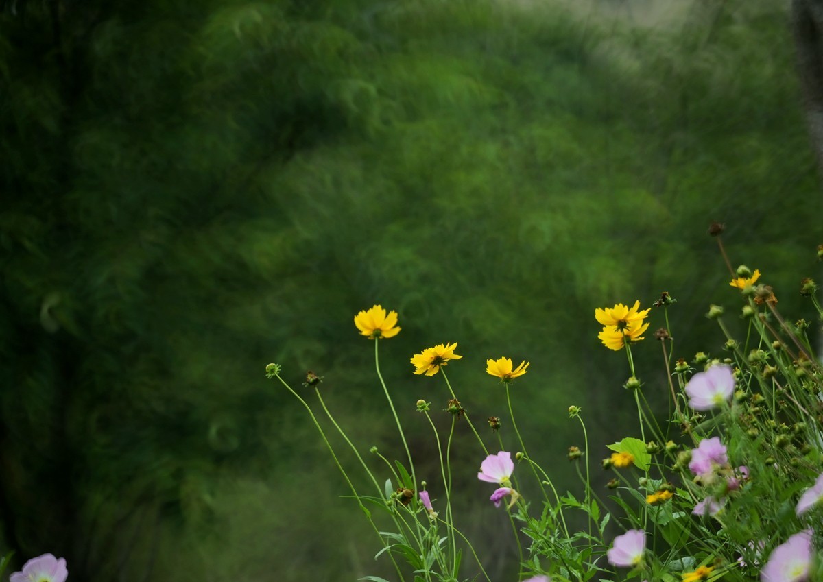 城市光影碎片之二十三