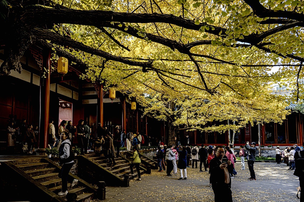 四川成都--崇州--罨画池秋色【5】