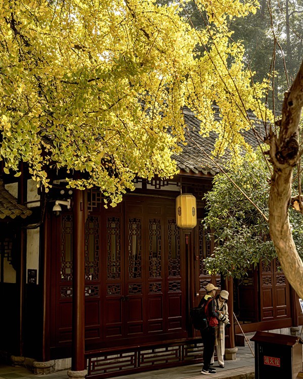 四川成都--崇州--罨画池秋色【5】