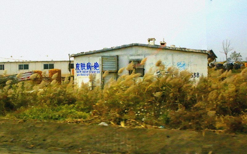 《不老松：纪实摄影》大美沧州：海兴小山火山地质公园！(01)路上行摄！