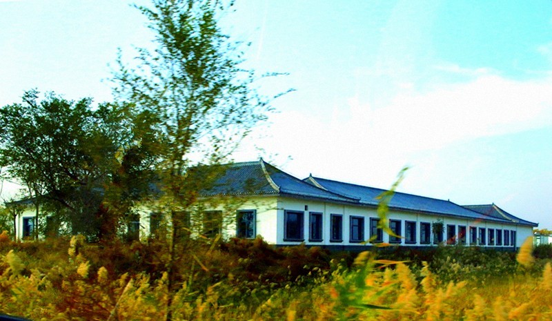 《不老松：纪实摄影》大美沧州：海兴小山火山地质公园！(01)路上行摄！