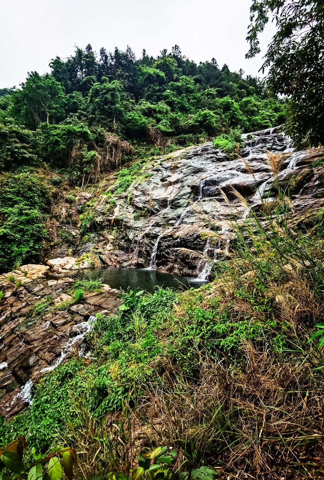 深圳马峦山郊野公园掠影