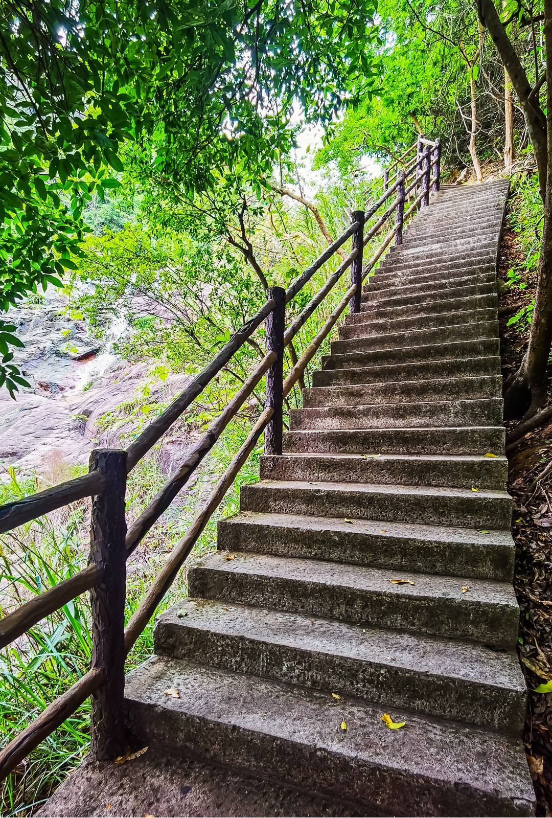 深圳马峦山郊野公园掠影