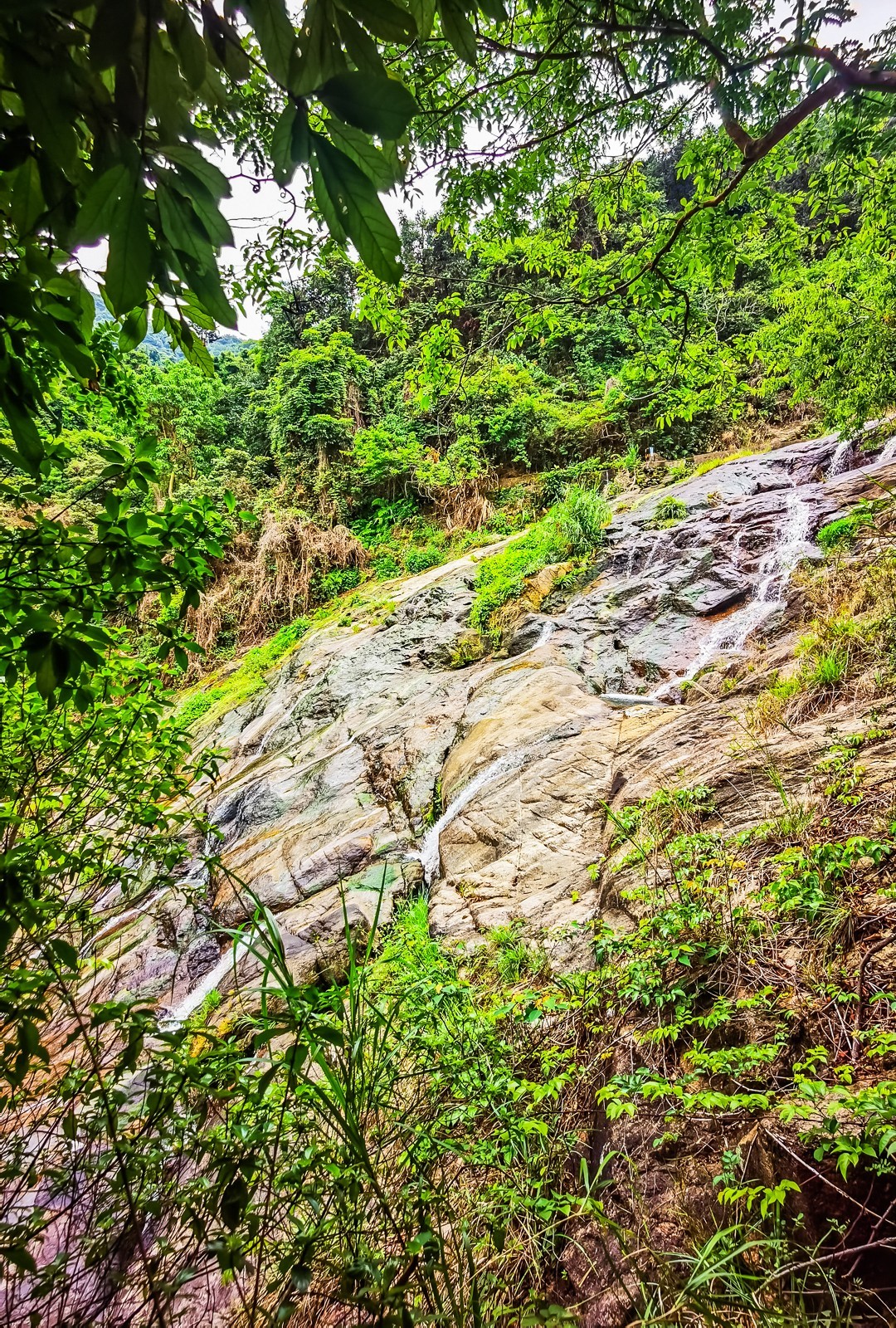 深圳马峦山郊野公园掠影