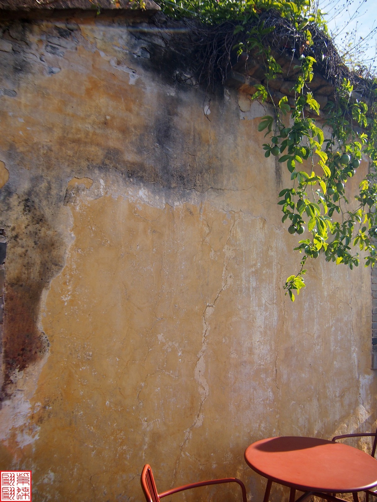 2023建水所见（5）