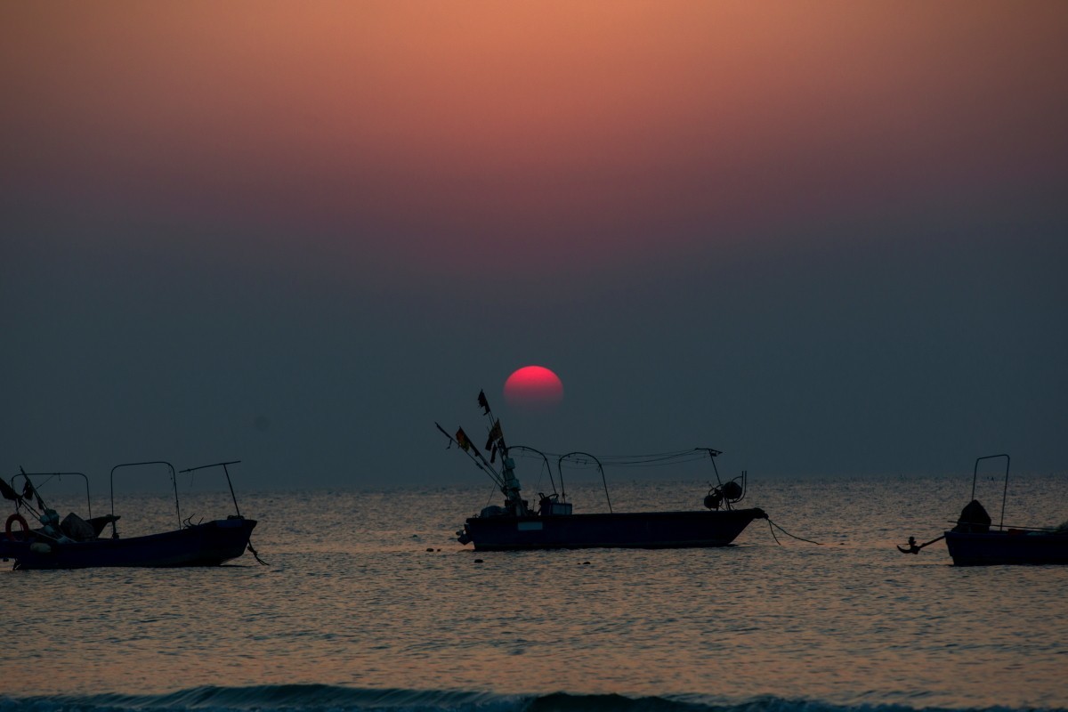 外出随拍（续388）.