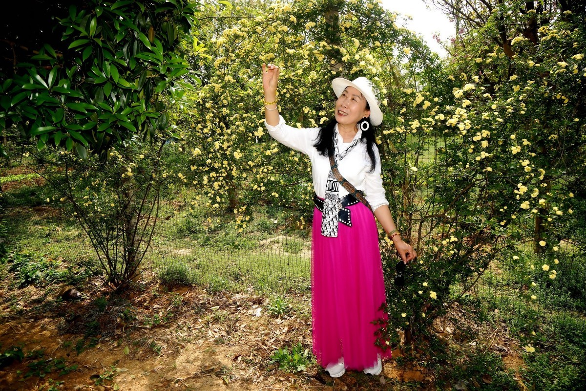 阳春四月郊游！