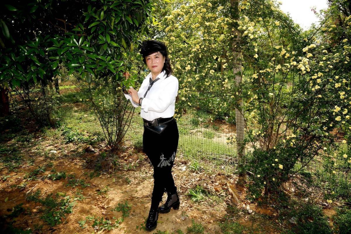 阳春四月郊游！