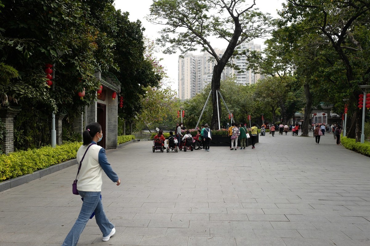 荔湾湖公园随拍（3.15）（1）