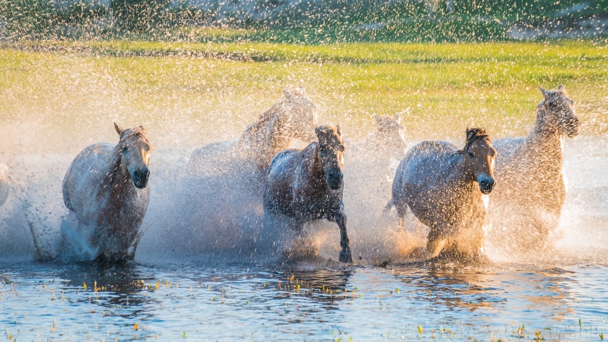 疾马飞浪，激情万丈------