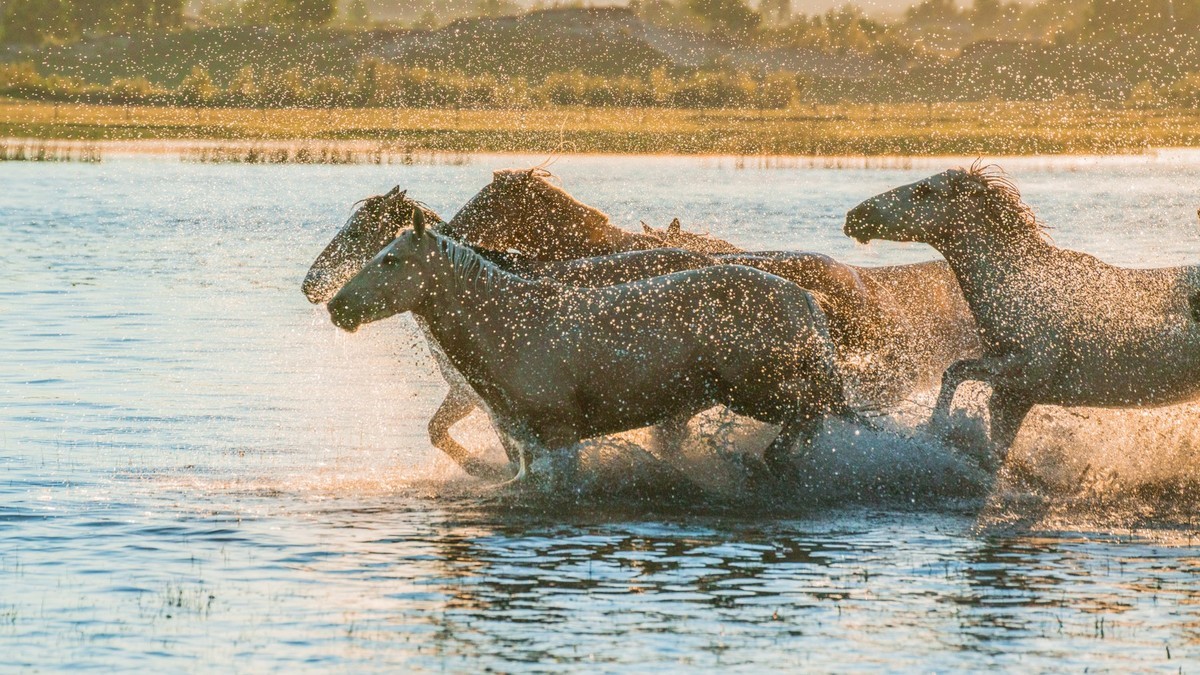 疾马飞浪，激情万丈------