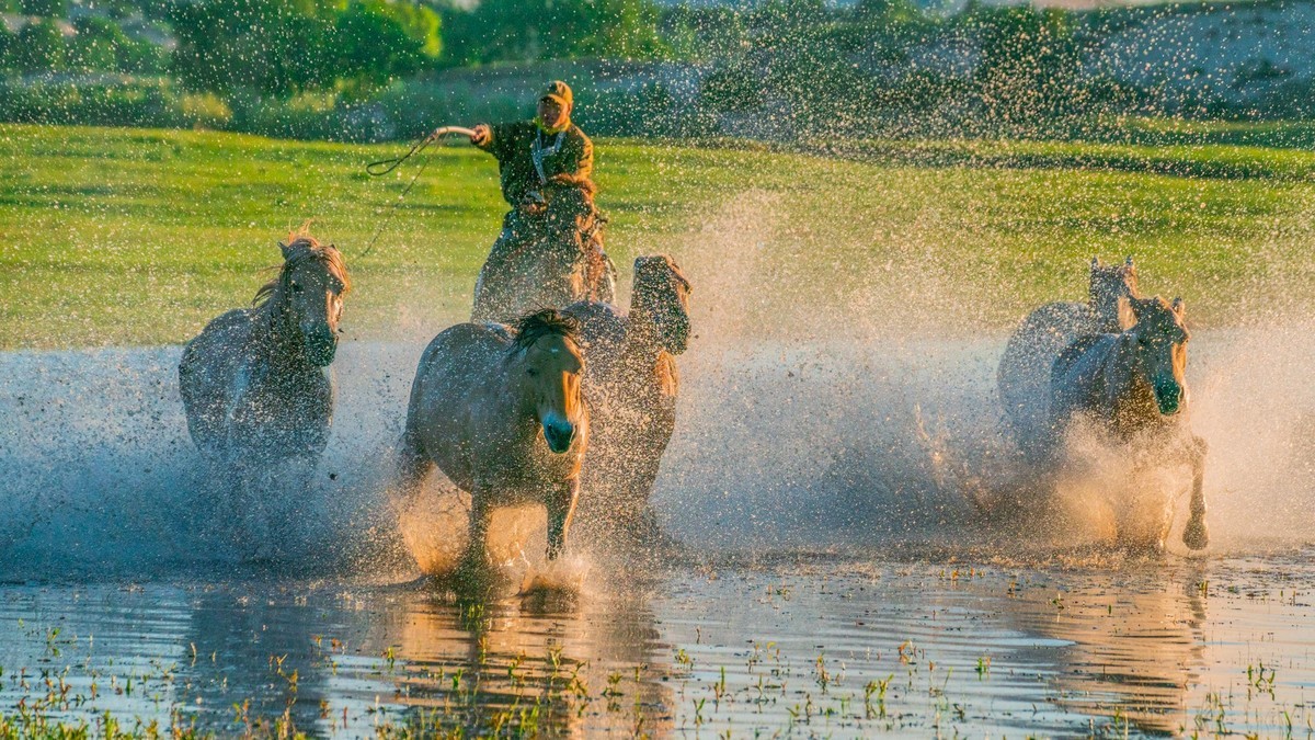 疾马飞浪，激情万丈------