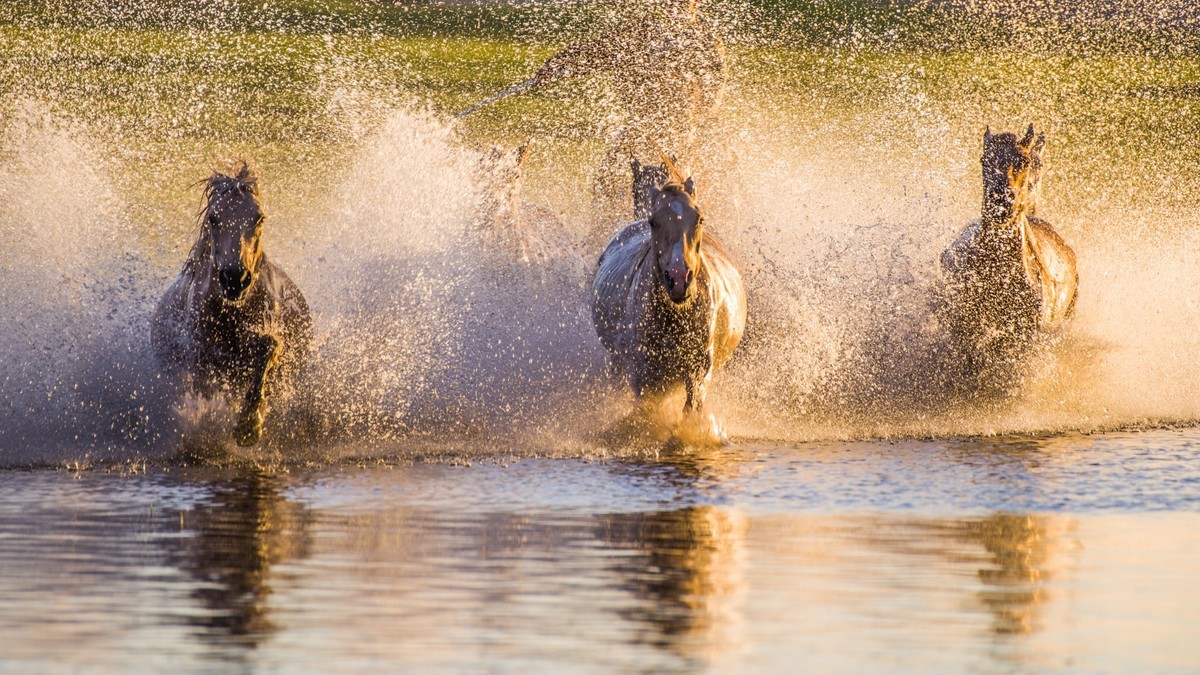 疾马飞浪，激情万丈------