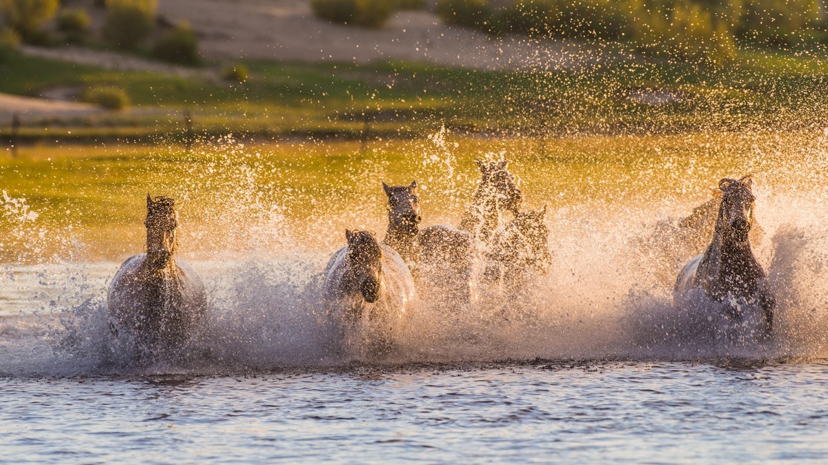 疾马飞浪，激情万丈------