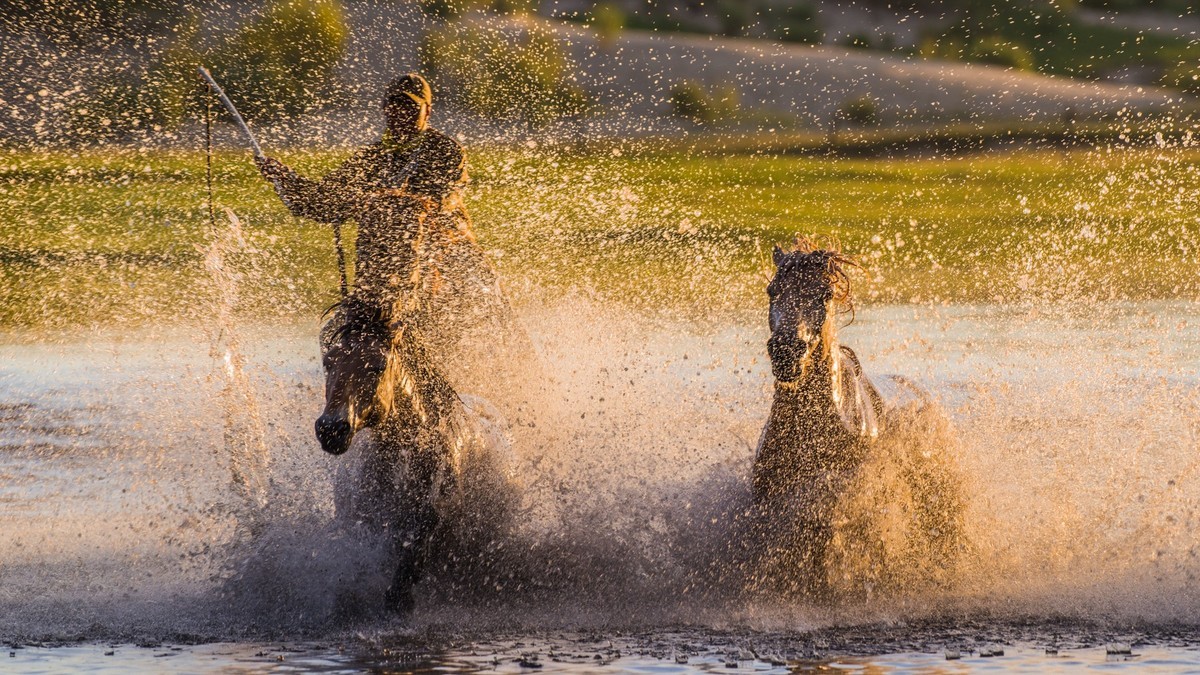 疾马飞浪，激情万丈------