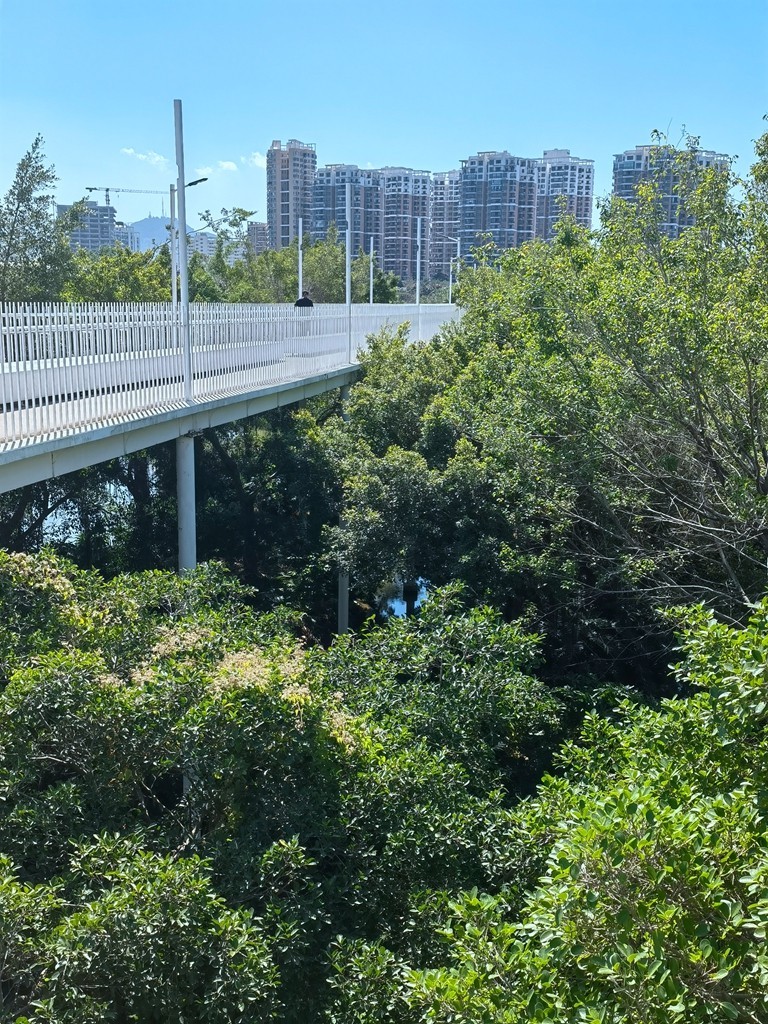 带着手机去旅行《走进三亚湿地公园--东岸湿地公园》