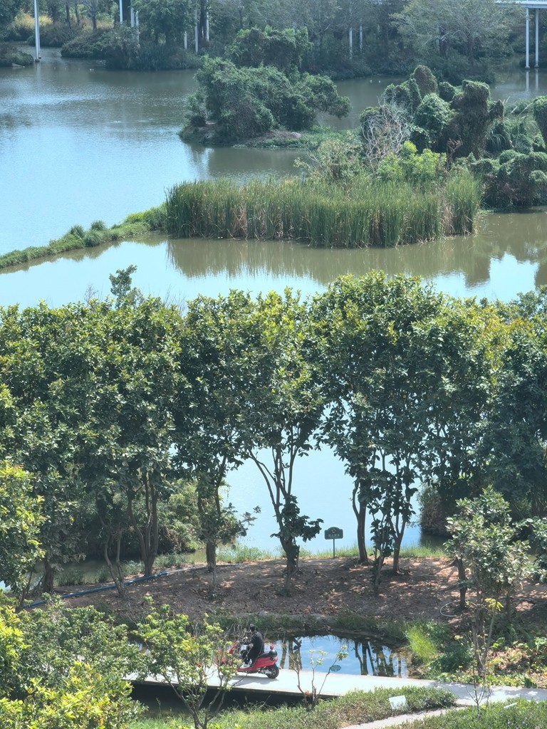 带着手机去旅行《走进三亚湿地公园--东岸湿地公园》