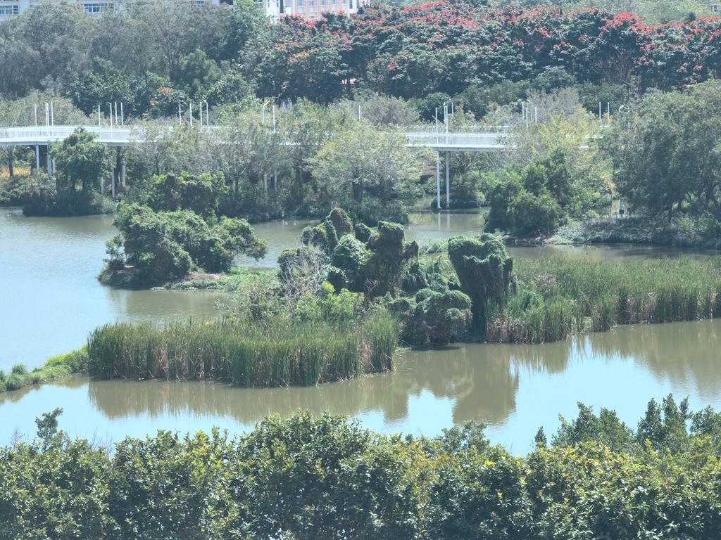 带着手机去旅行《走进三亚湿地公园--东岸湿地公园》