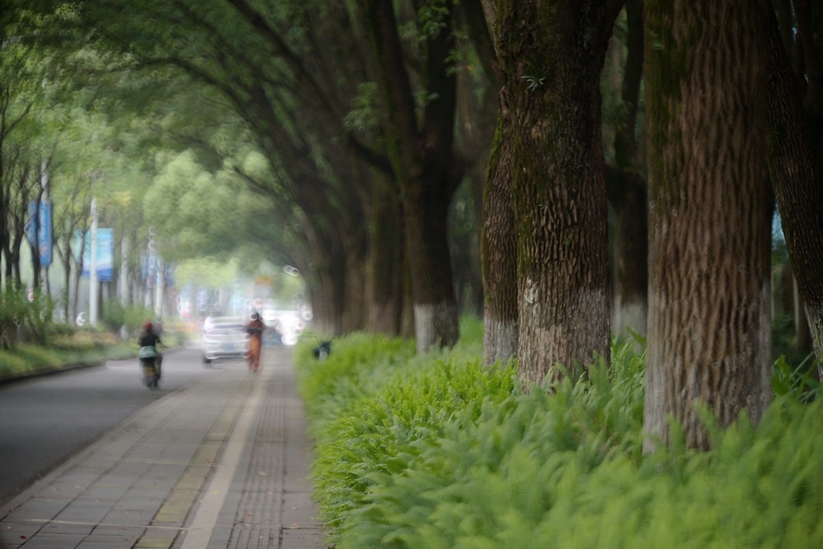 城市光影碎片之二十三