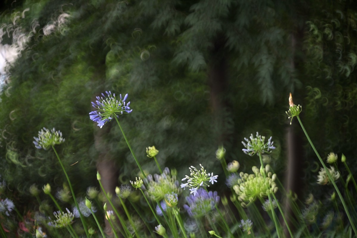 城市光影碎片之二十三