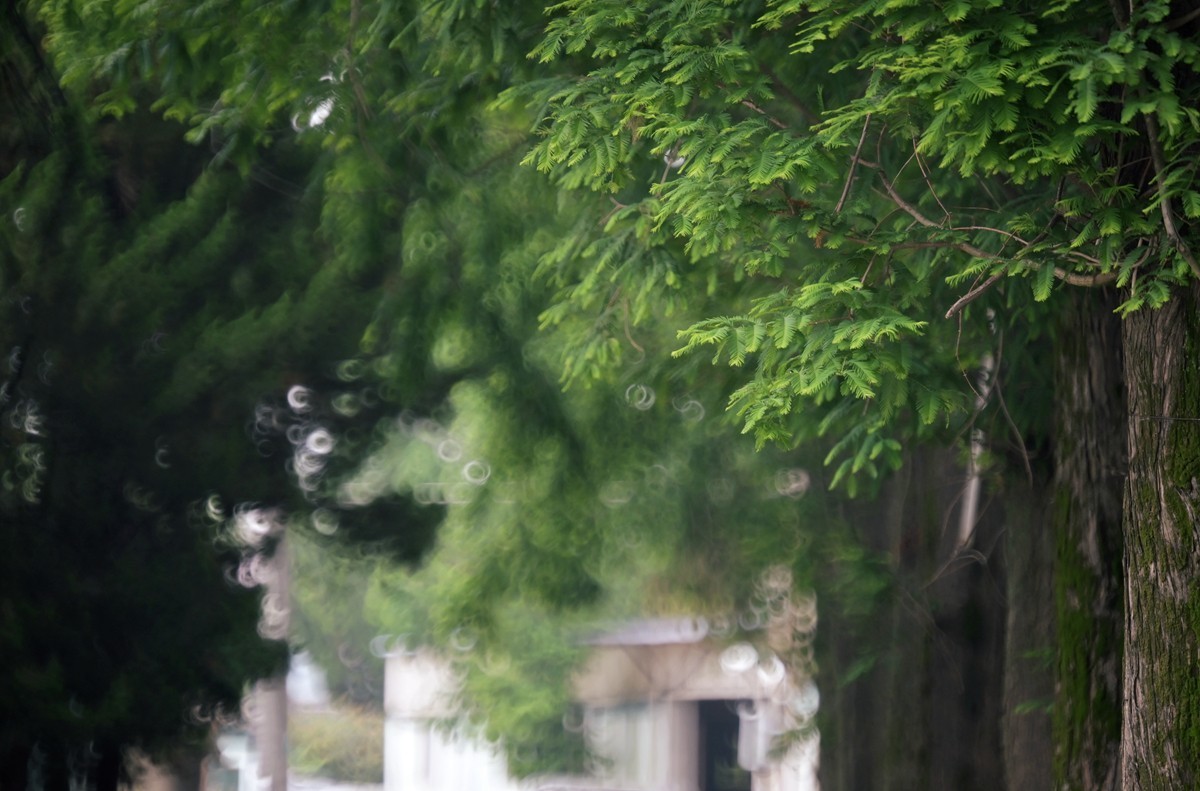 城市光影碎片之二十三