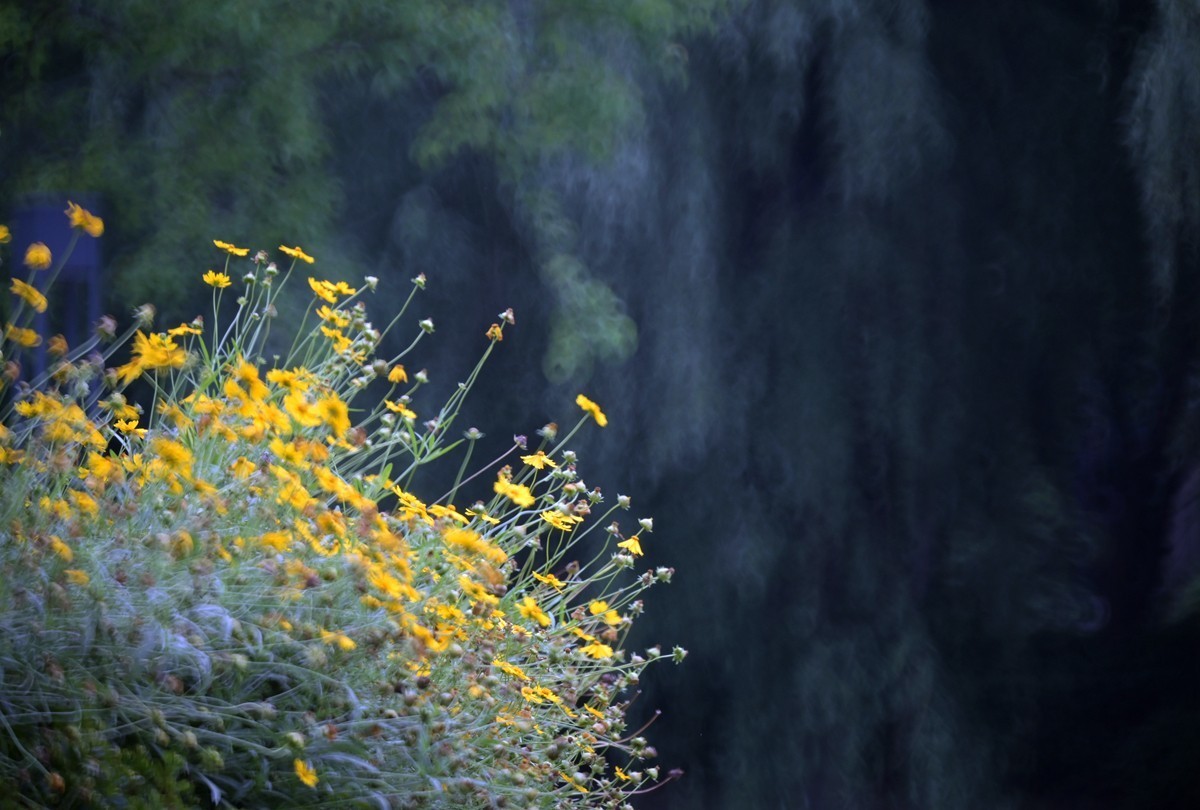 城市光影碎片之二十三