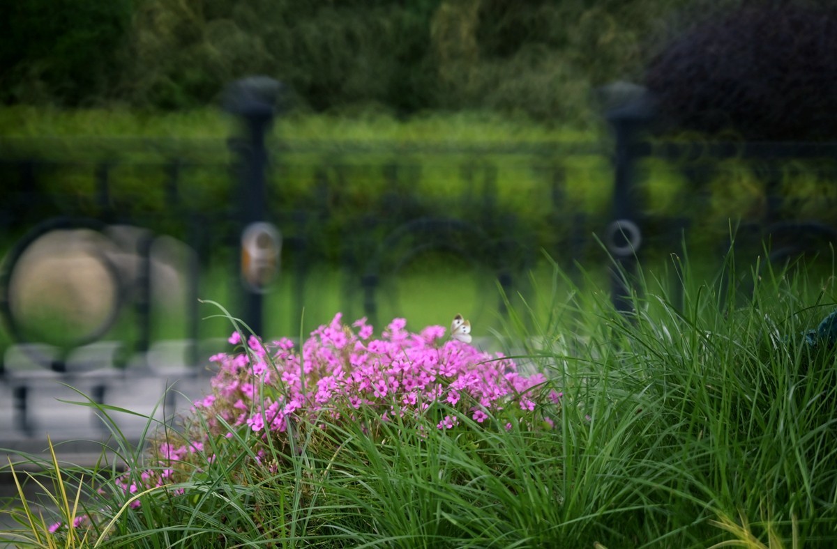 城市光影碎片之二十三