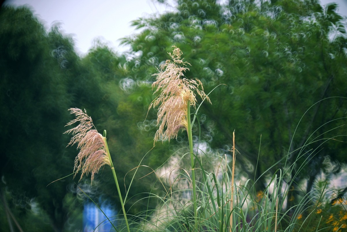 城市光影碎片之二十三