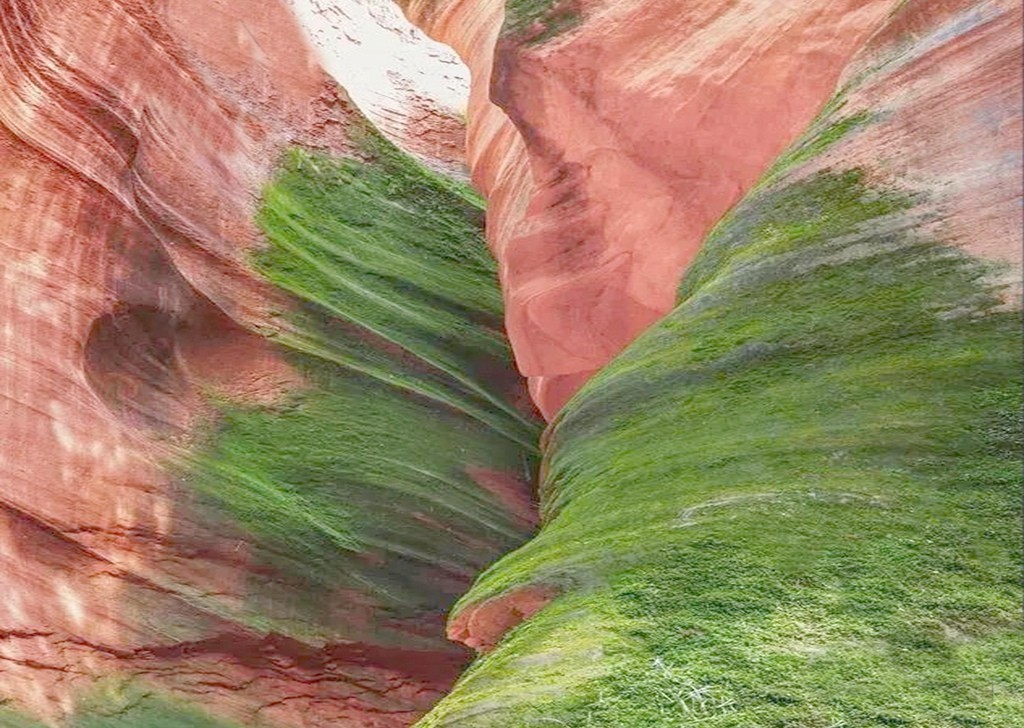 甘泉雨岔峡谷（一）
