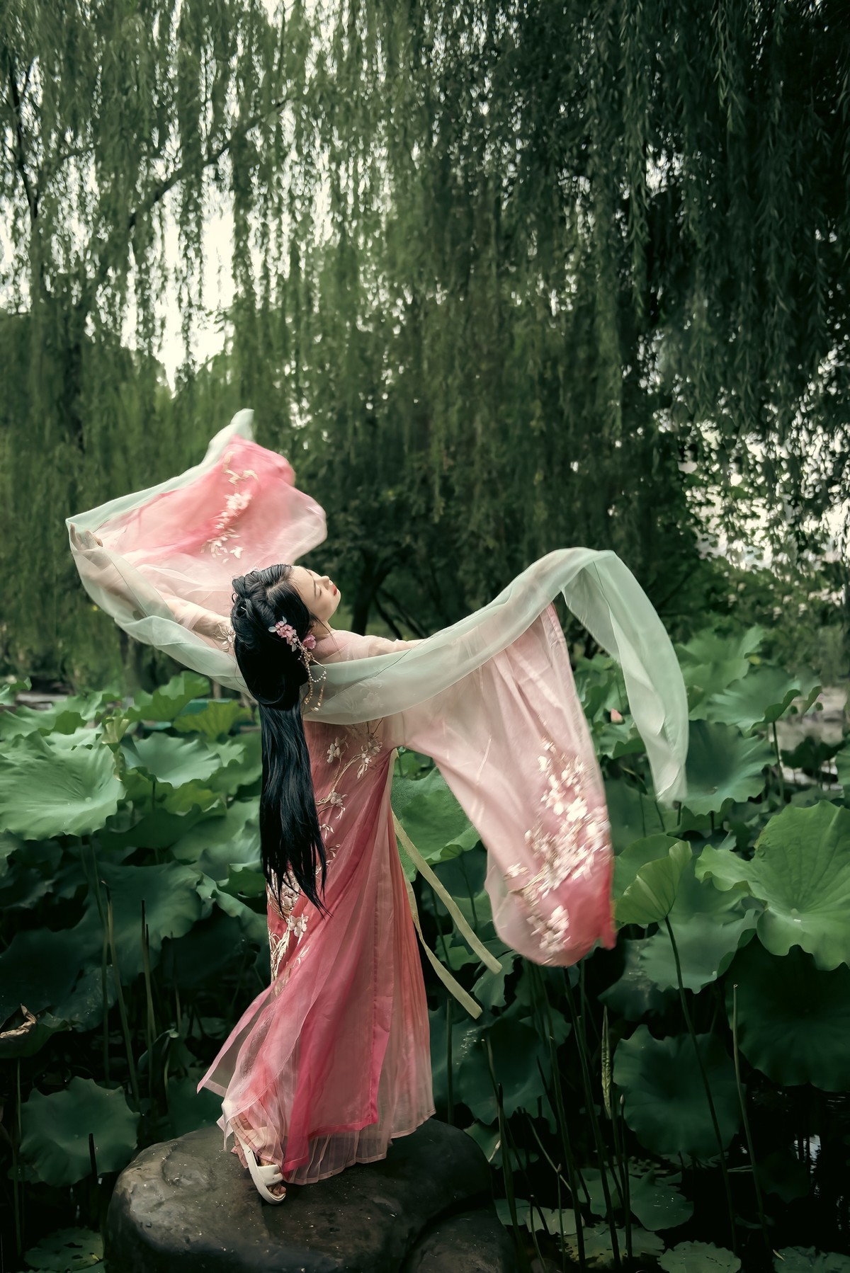 荷花妹子（2）