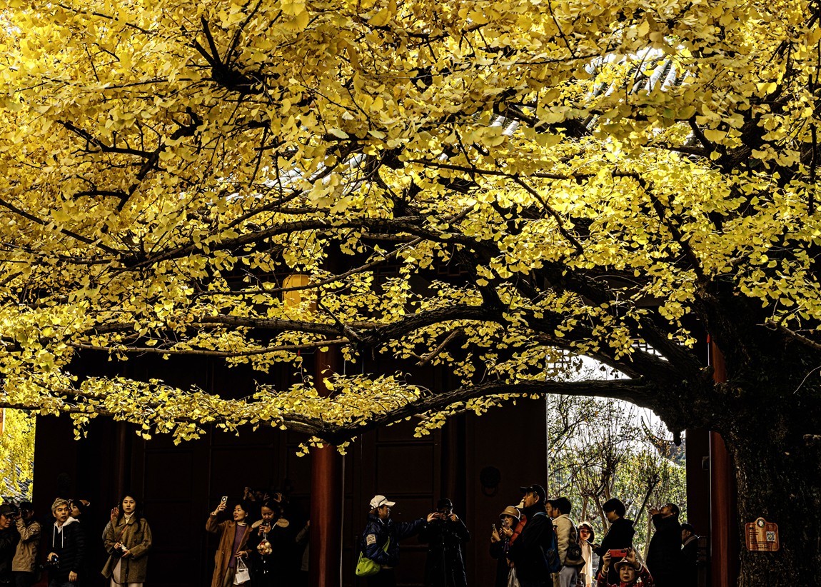 四川成都--崇州--罨画池秋色【5】