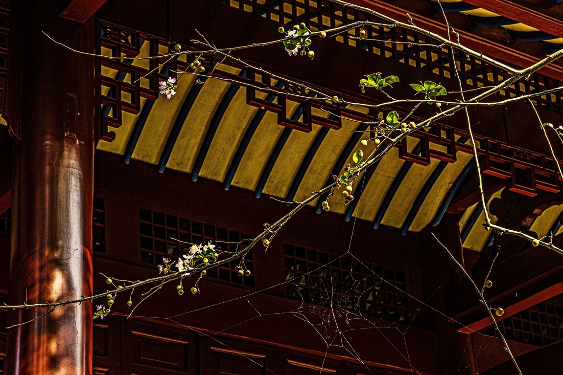 四川成都--崇州--罨画池秋色【5】