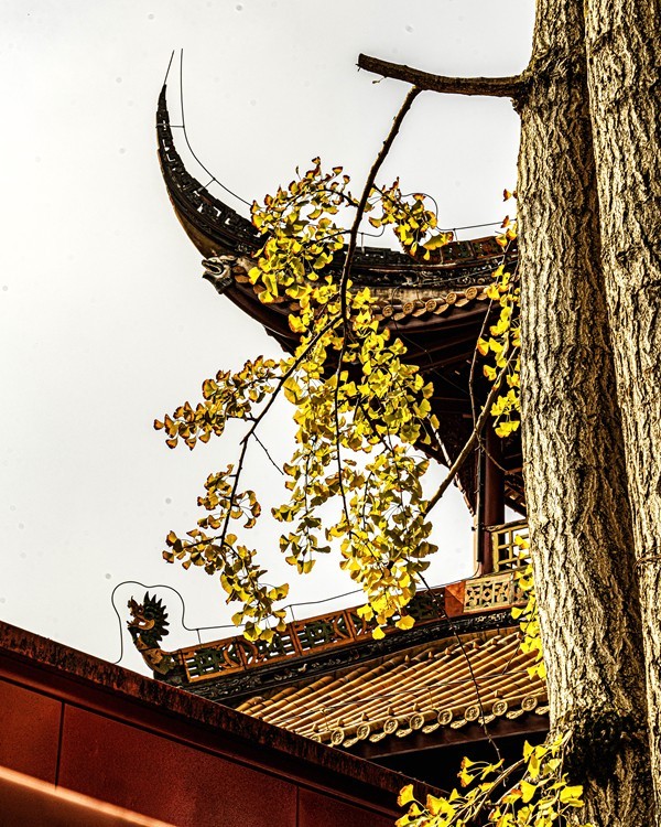 四川成都--崇州--罨画池秋色【5】