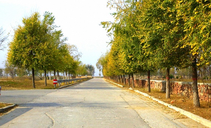 《不老松：纪实摄影》大美沧州：海兴小山火山地质公园！(01)路上行摄！