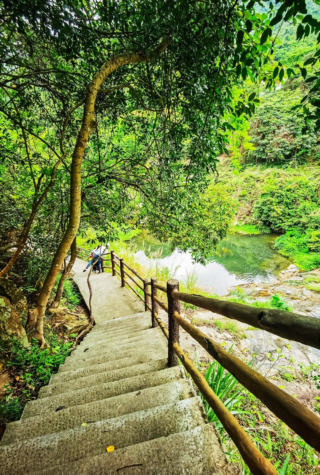 深圳马峦山郊野公园掠影