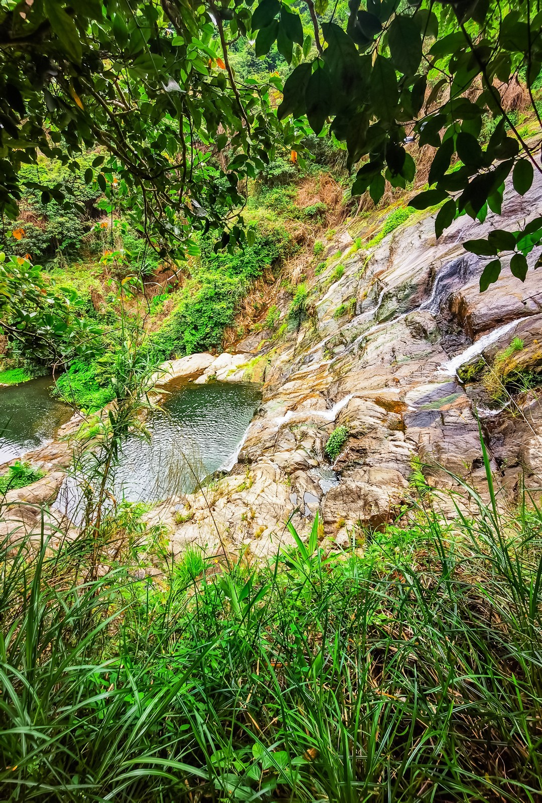 深圳马峦山郊野公园掠影