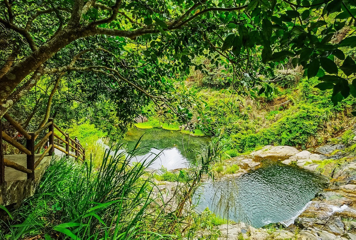 深圳马峦山郊野公园掠影