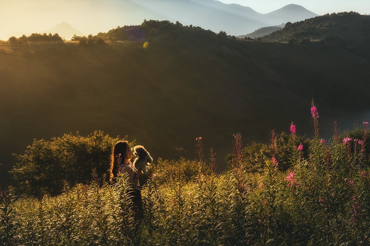高山草甸的早晚景色