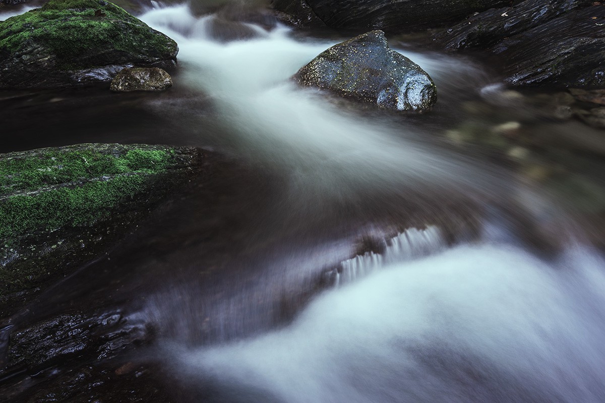 高山草甸的早晚景色