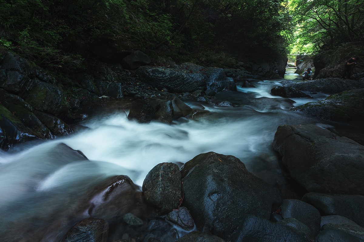 高山草甸的早晚景色