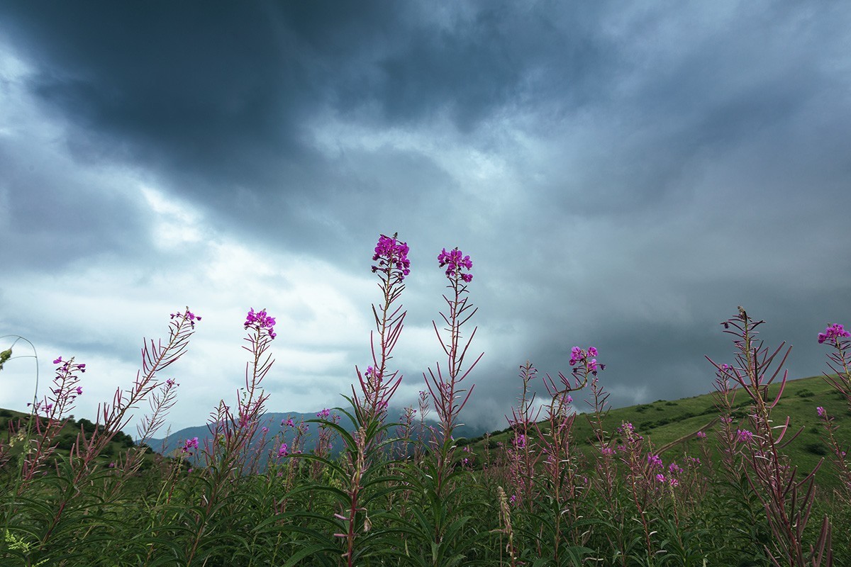 高山草甸的早晚景色