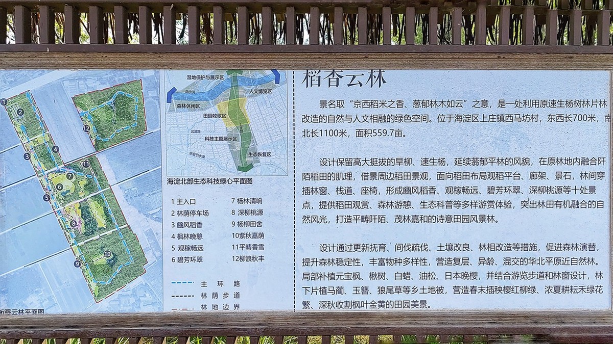 北京京西稻保护区 一