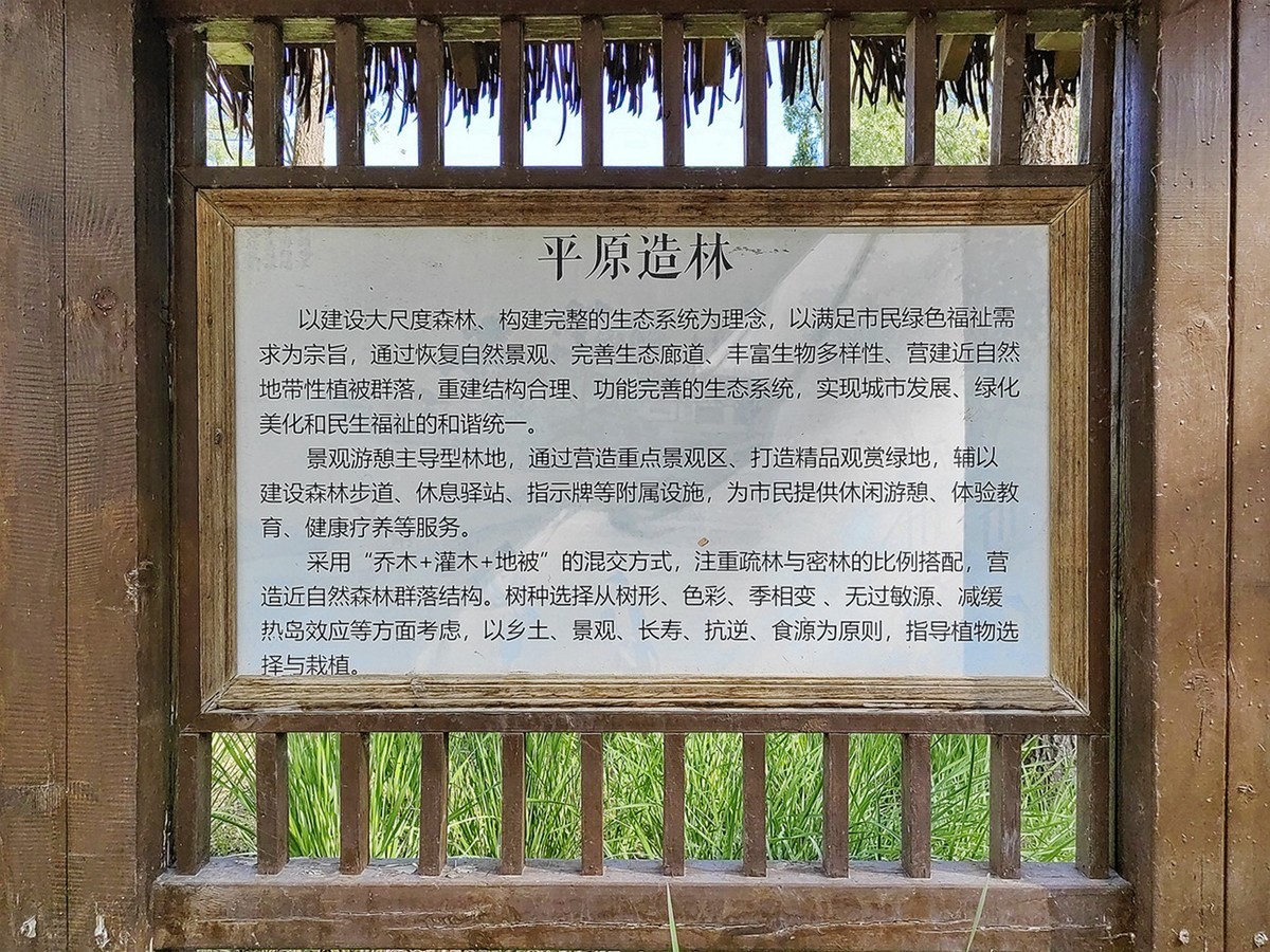 北京京西稻保护区 一